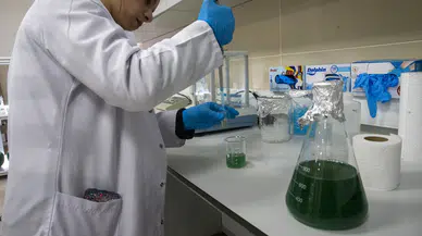 Türk akademisyenlerden mürekkep balığı ve mikro alglerle doğal güneş kremi