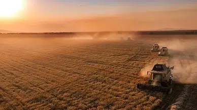 Dünya tarım bakanları gıda ve su için İstanbul'da buluşuyor