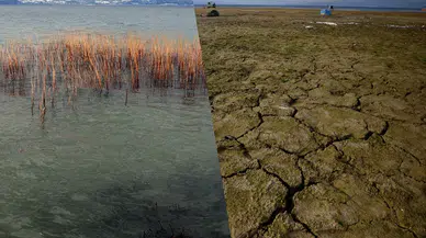 Sapanca Gölü'nde su seviyesi rekor düzeyde düştü