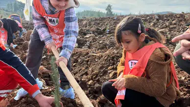 Muğla'da 20 bin fidan “81 İlde 81 Orman” projesiyle hayat buluyor